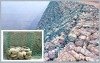 Gabion Box