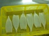 Headless Skinless Frozen Squid Tube