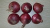 Fresh red onion