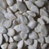 Chinese Snow White Pumkin Seeds,New Crop