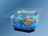 acrylic fish tank,acrylic aquarium,fish aquarium,fish tank