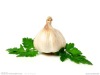 Cangshan fresh garlic