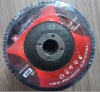 Vertical and Flat Abrasive Flap Disc