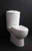 PM-231101Toilet