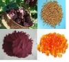 Water soluble Natural Grape Seed Extract 95% proanthocyanidins