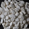 Chinese Snow White Pumkin Seeds,New Crop