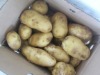 chinese potato