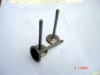 Engine Valve