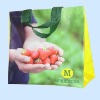 eco shopping bag