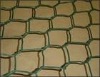 hexagonal wire netting