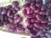 Dark Red Kidney Beans 2011 crop, Yunnan origin, Hps)