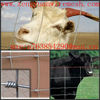 high quality grassland fence(manufacture)