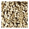 2012 New crop sunflower kernel