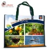 pp woven shopping bag