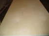 birch plywood