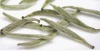 Organic White Tea,Silver Needle Tea from Pure Garden