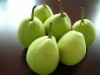 2010 New Crop of Shandong Pear