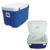 Vaccine carrier (6L, 10L, 12L, 18L,30L, 31L, 44L, 54L)