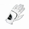 golf glove