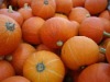 new crop Chinese fresh pumpkin