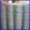 galvanized barbed wire