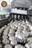 High carbon chrome steel ball