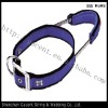 dog fashion collars and leashes