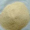 Dehydrated Garlic Granulates/Granulated garlic