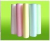 Leading Product NCR Carbonless Paper