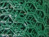 hexagonal wire netting