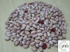 Light Speckled Kidney Beans American Round/Cranberry