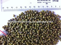 GREEN MUNG BEAN