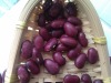 Dark Red Kidney Beans 2011 crop, Yunnan origin, Hps)