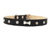 crystal and bone dog collar