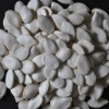 Chinese Snow White Pumkin Seeds,New Crop