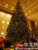 Decorative Huge christmas tree for park and square