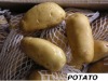 yellow potato