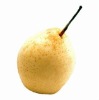 ya pear