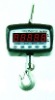 Electronic Mechanical Hook Scale