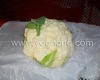 2012 New white Cauliflower