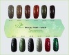 3D Hot Sale Magic Nail Polish