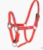 horse halter