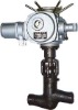 Power Station Globe Valve