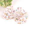 3581 Fashion hair clips