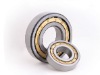 Cylindrical Roller Bearings (NU203,NU1005,NU1006,NU1007,NU1008,ETC)