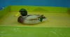 floating duck(p.u floating duck for garden decoration,waterfowl crafts),plastic floating crafts