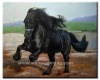 Animal Oil Painting-Horse004