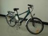 electric bicycle