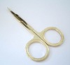 Cuticle Scissor