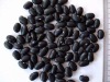 Black kidney bean/black bean